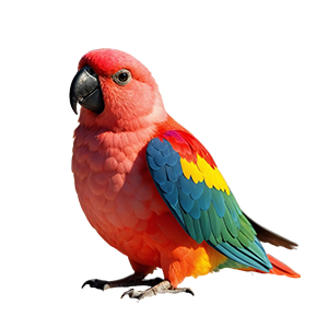 Macaw Hard Seed Food